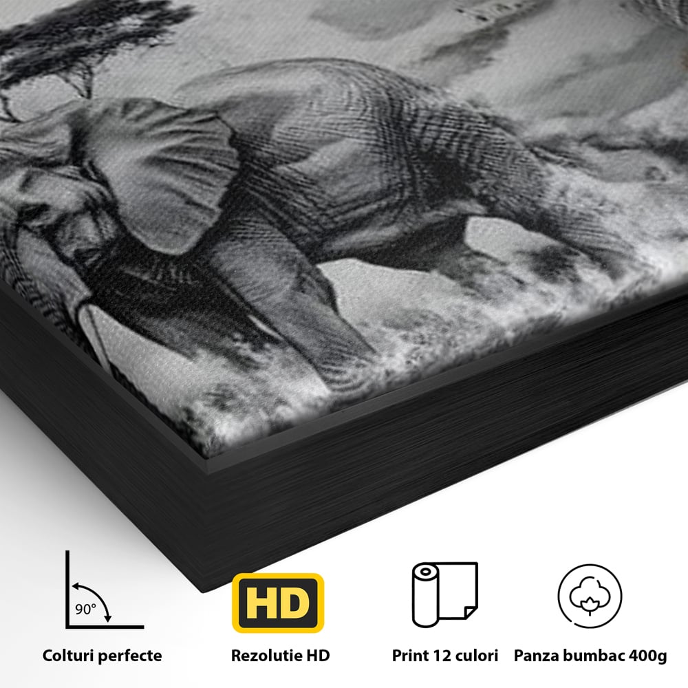 Detaliu al suprafetei: tablou canvas cu leu si elefant, in rama de aluminiu negru